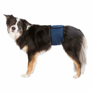 Protector para Incontinencia Trixie Macho Abdomen