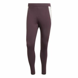 Pantalón Largo Deportivo Adidas Fc Bayern 24/25 Tiro24 Marrón Granate Hombre
