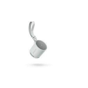 Altavoz Bluetooth Portátil Sony SRSXB100H.CE7 Gris